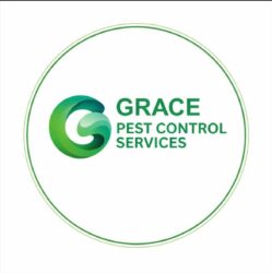 gracepestcontrol.in